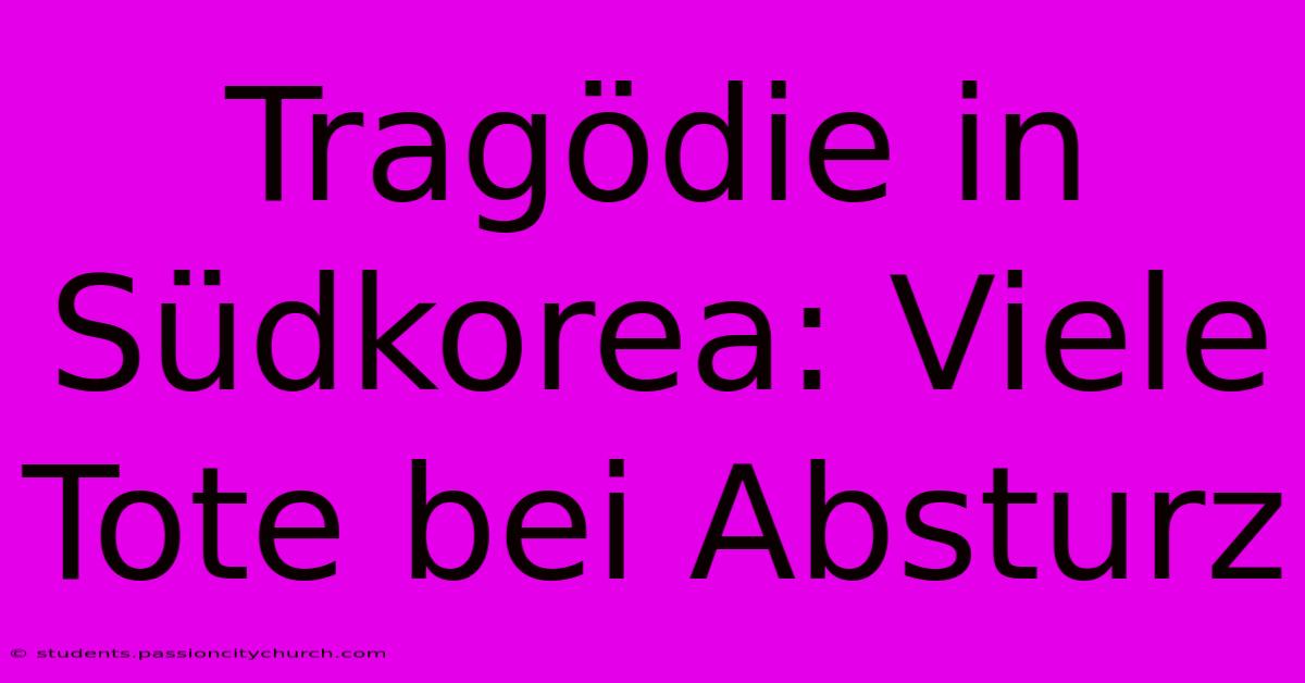 Tragödie In Südkorea: Viele Tote Bei Absturz