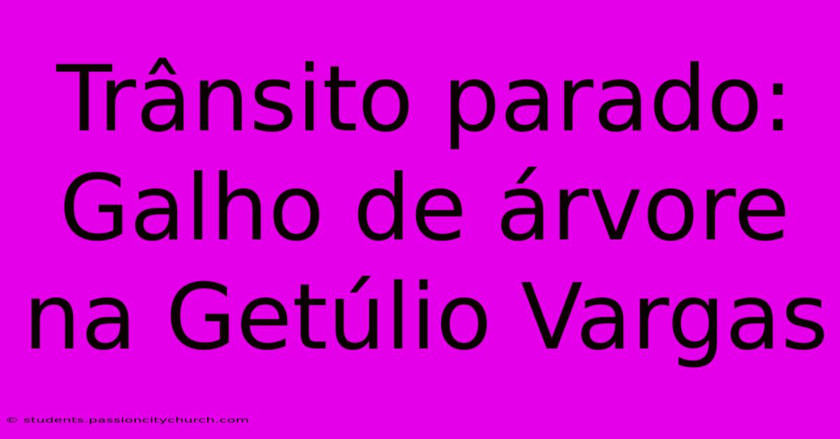 Trânsito Parado: Galho De Árvore Na Getúlio Vargas