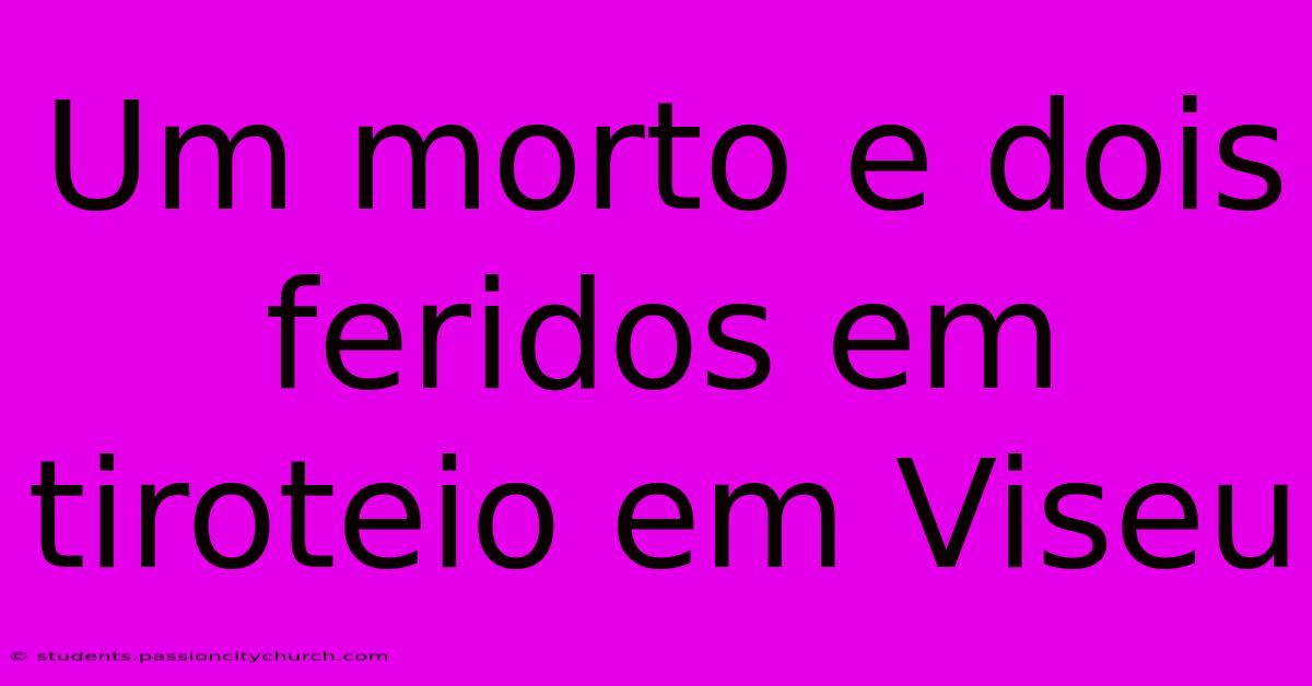 Um Morto E Dois Feridos Em Tiroteio Em Viseu