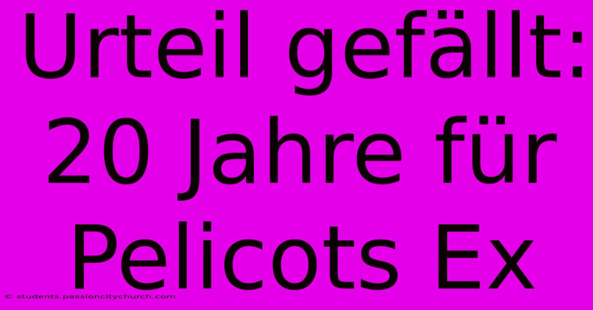 Urteil Gefällt: 20 Jahre Für Pelicots Ex