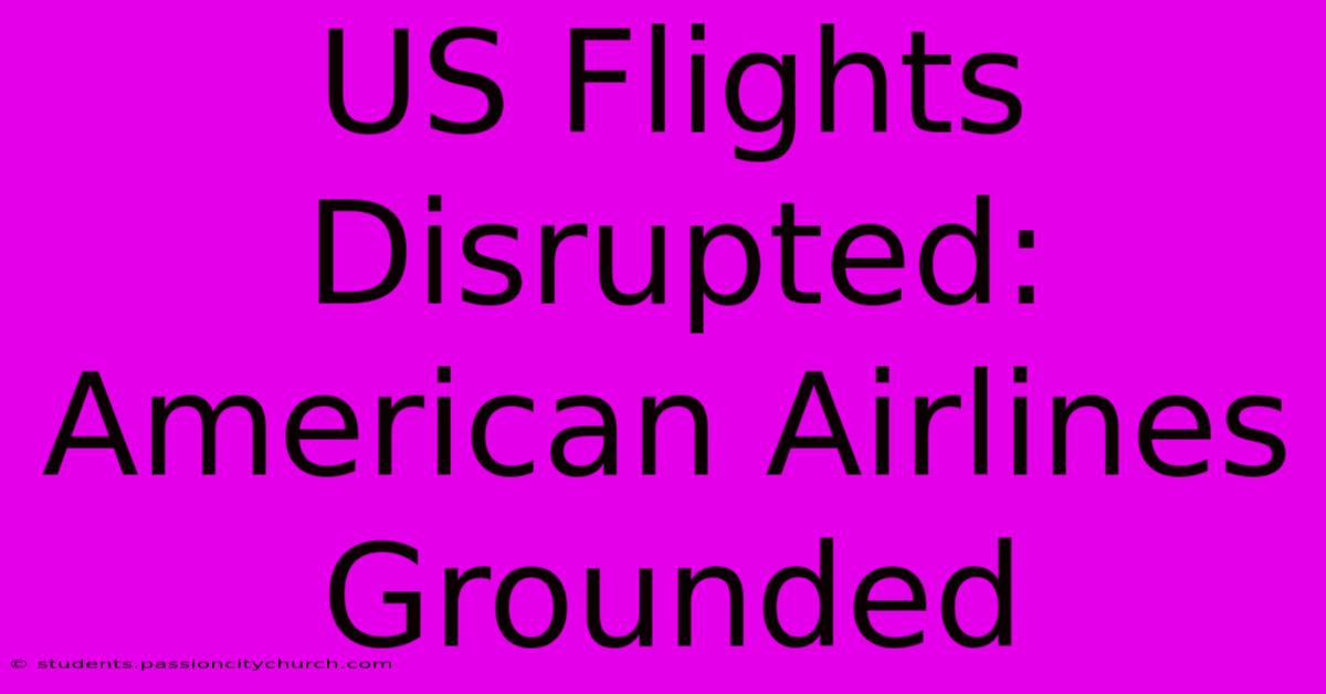 US Flights Disrupted: American Airlines Grounded