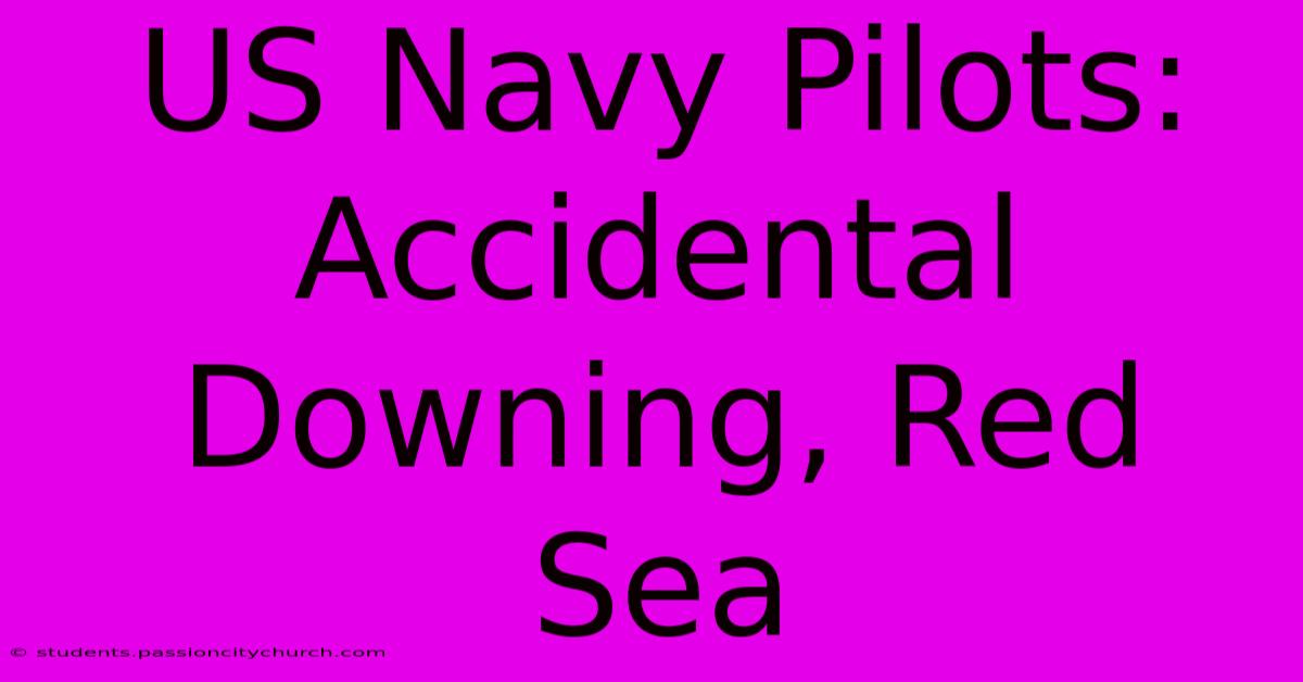 US Navy Pilots: Accidental Downing, Red Sea