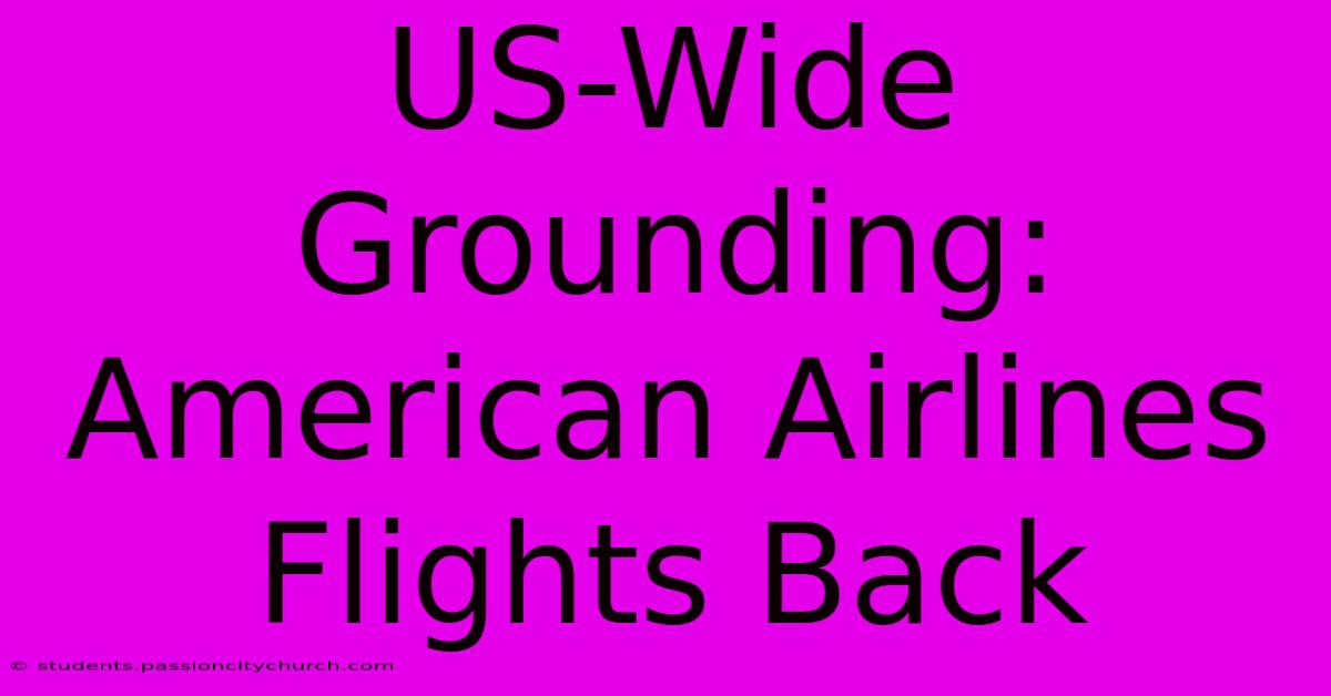 US-Wide Grounding: American Airlines Flights Back