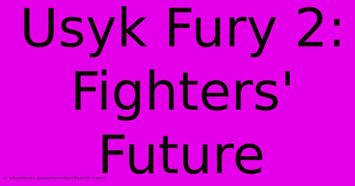 Usyk Fury 2: Fighters' Future