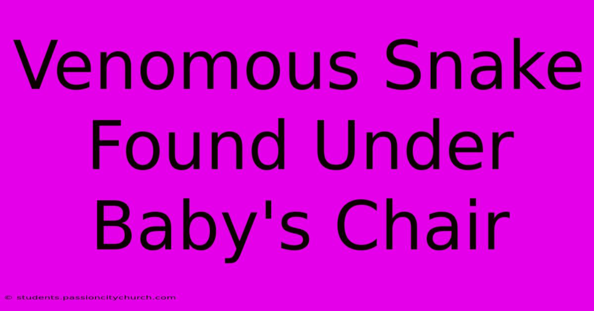 Venomous Snake Found Under Baby's Chair