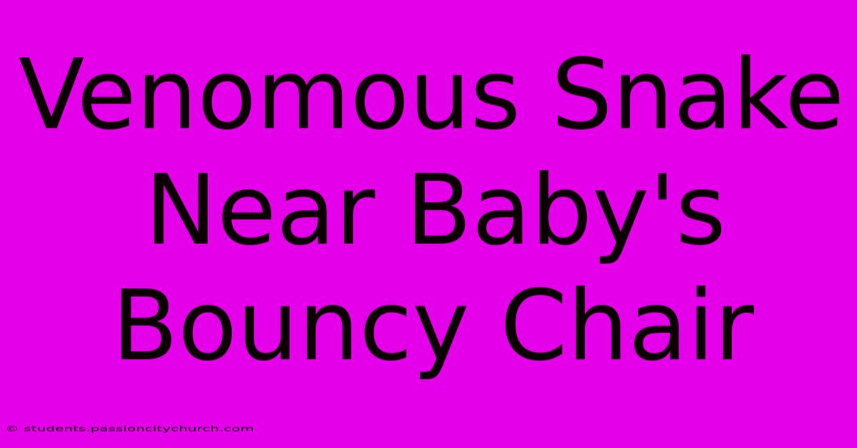 Venomous Snake Near Baby's Bouncy Chair