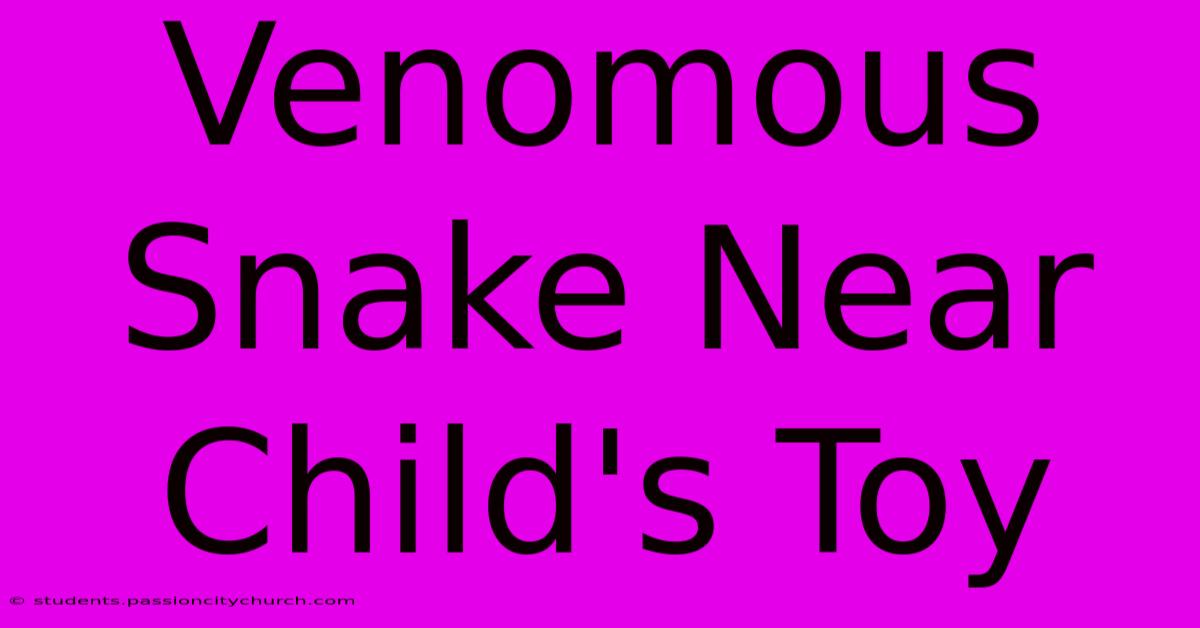 Venomous Snake Near Child's Toy