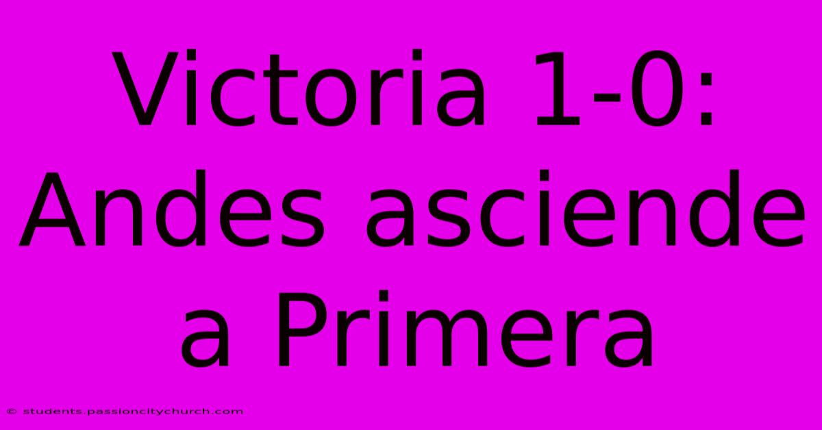 Victoria 1-0: Andes Asciende A Primera