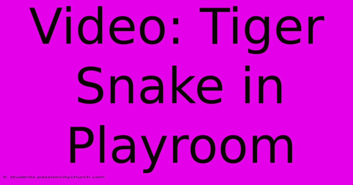 Video: Tiger Snake In Playroom