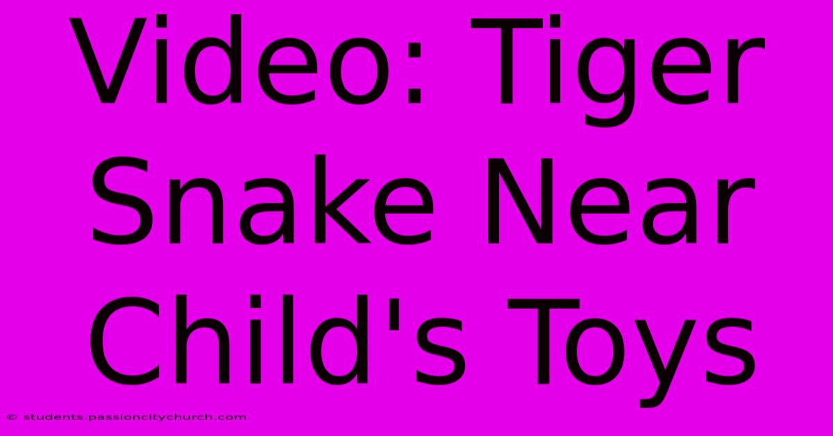 Video: Tiger Snake Near Child's Toys