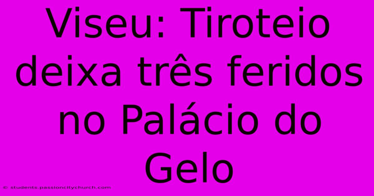 Viseu: Tiroteio Deixa Três Feridos No Palácio Do Gelo