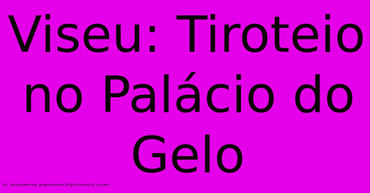 Viseu: Tiroteio No Palácio Do Gelo