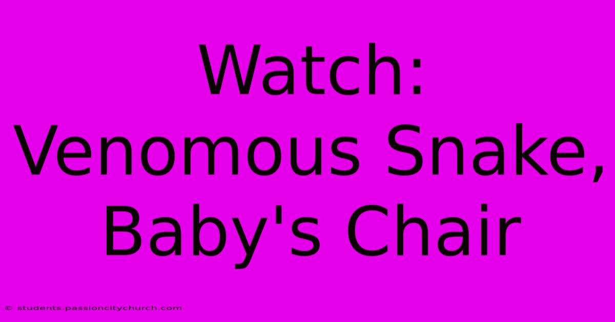 Watch: Venomous Snake, Baby's Chair