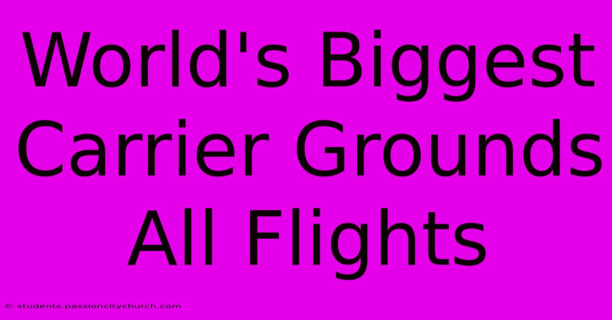 World's Biggest Carrier Grounds All Flights