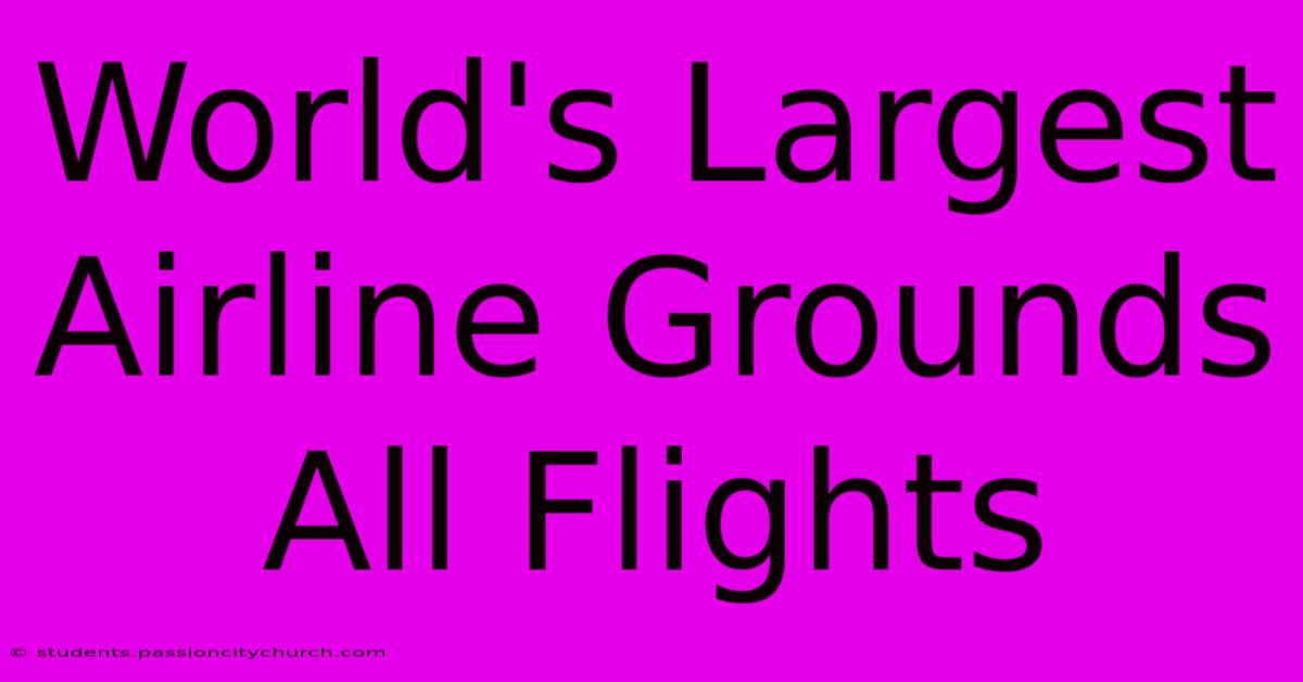 World's Largest Airline Grounds All Flights